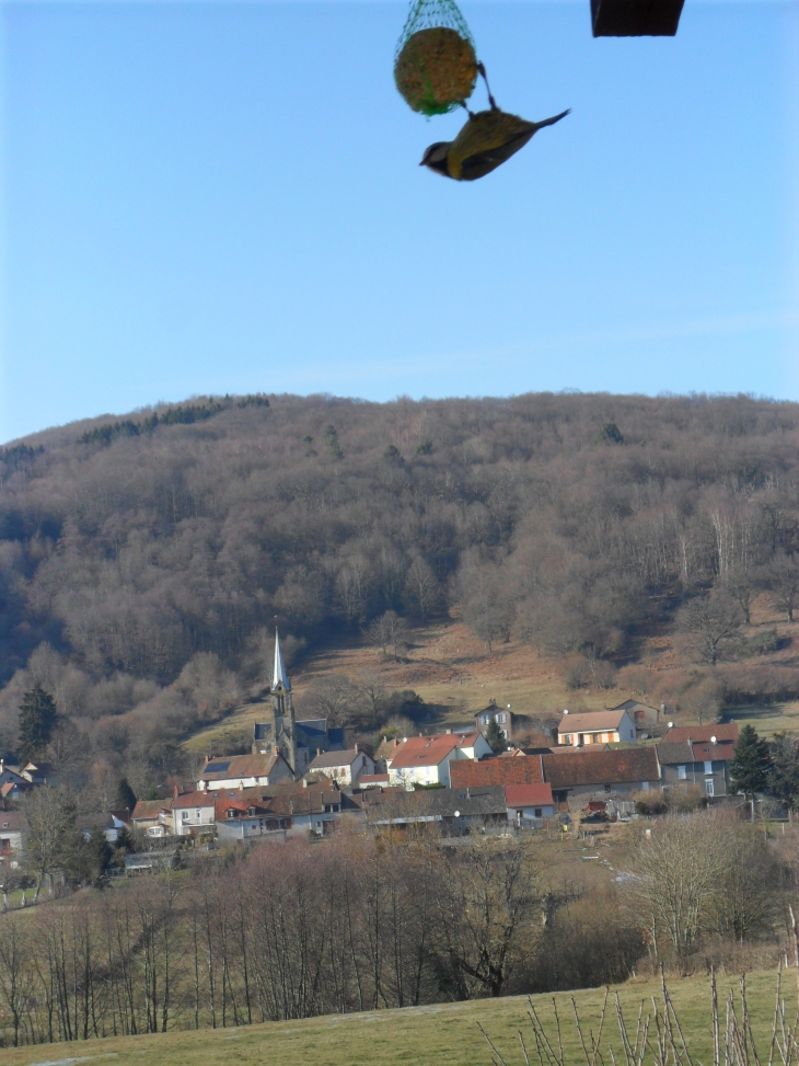 Mésange...avec vue sur Broye