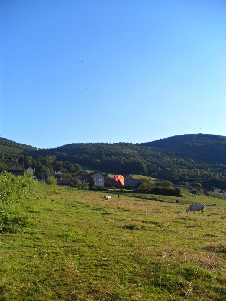 Aterissage dans le champs au milieu des vaches qui ont l'habitude de voir des hommes volants - Broye