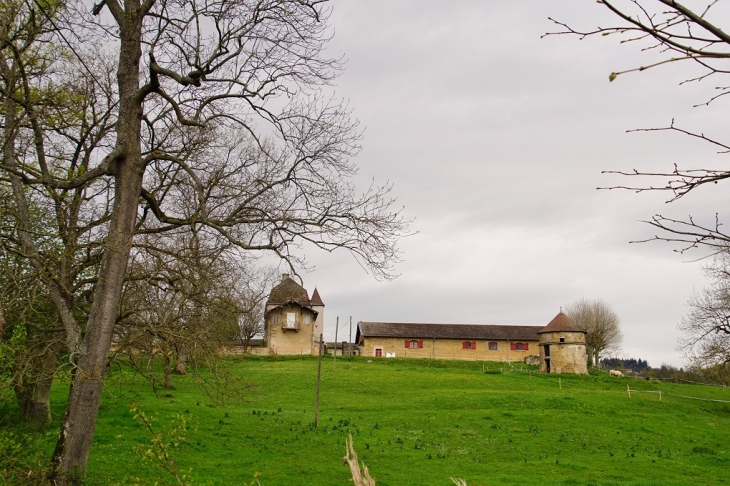 Le Village - Chaintré