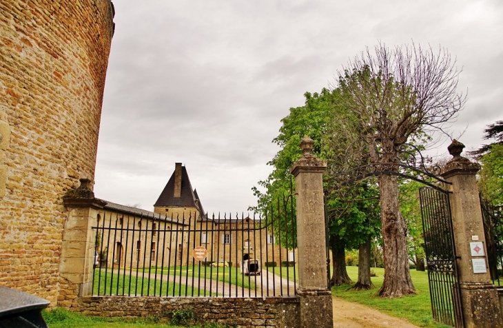 Le Château - Chaintré