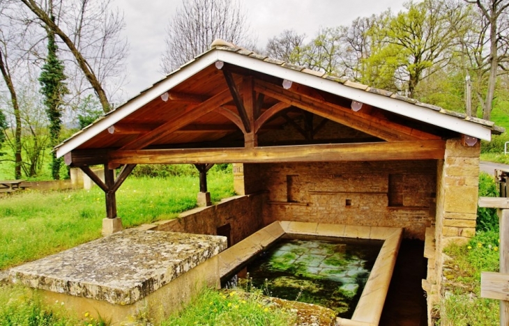 Le Lavoir - Chaintré