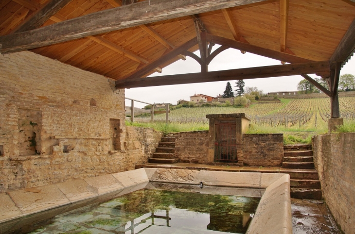 Le Lavoir - Chaintré