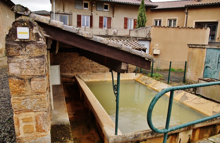 Le Lavoir - Chaintré