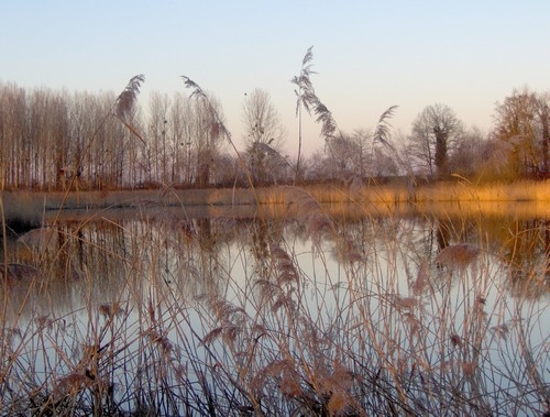 Etang du 