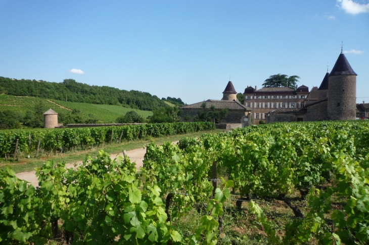 Entrée du Chateau - Chasselas