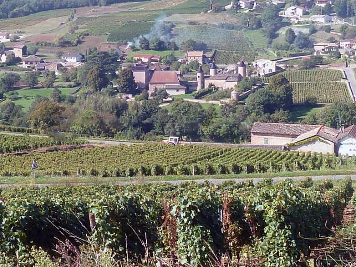 Vue sur les vignes et le château - Chasselas