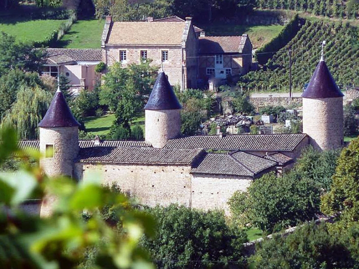 Vue sur le château - Chasselas