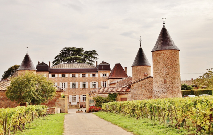 Le Château - Chasselas