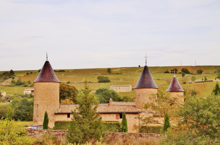 Le Château - Chasselas