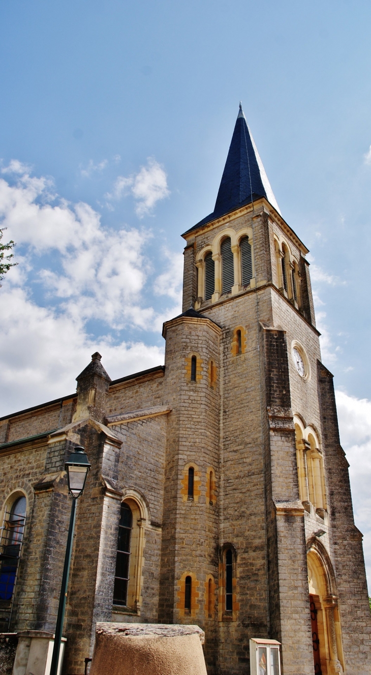 -église Saint-Martin - Chenay-le-Châtel