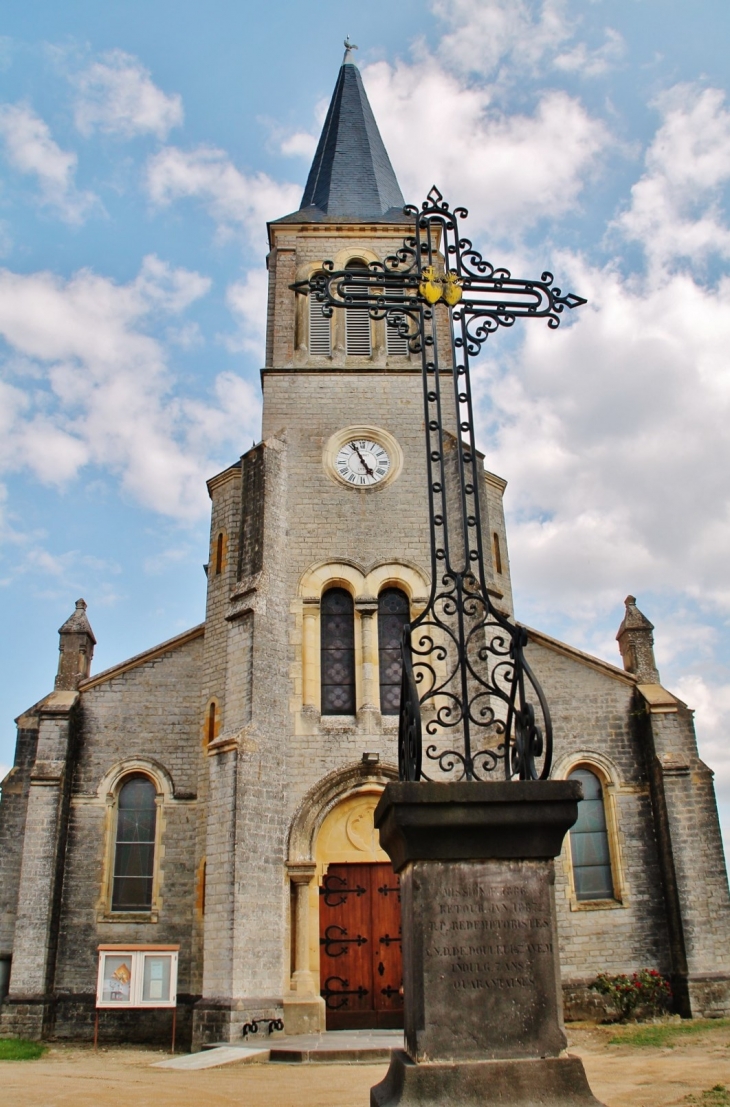 -église Saint-Martin - Chenay-le-Châtel