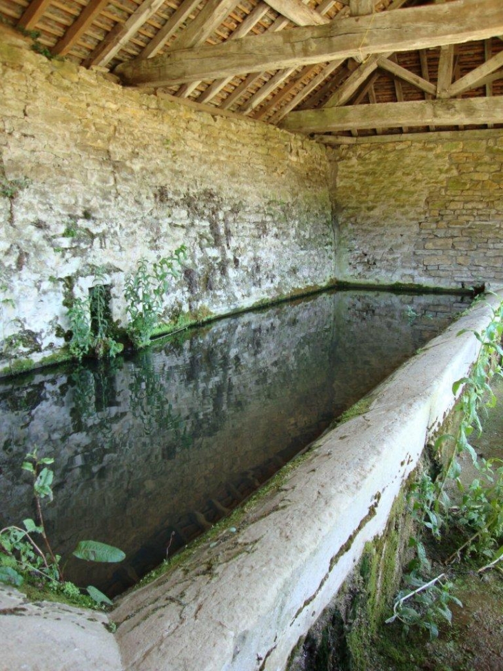 Chenôves (71940) lavoir (intérieur)