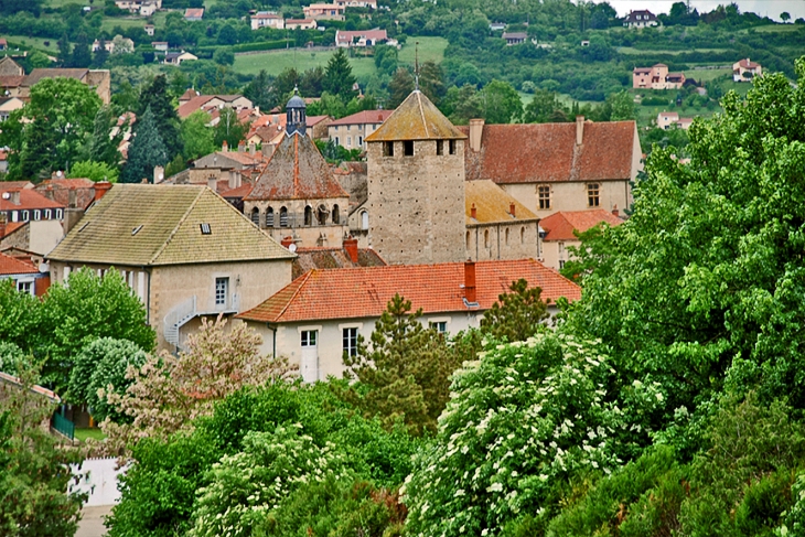 Depuis la promenade du Fouétin vue sur Cluny, Tour des fromages , Clocher de l'église Notre - Dame, au fond à droite le musée Ochier..