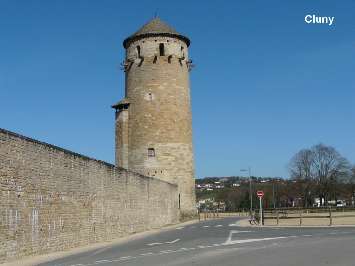 Crédit : André Pommiès - Cluny