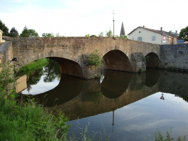 Cluny (71250) la Grosne et Pont de la Levée