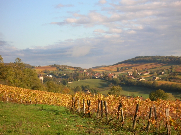 Vallon cruzillois - Cruzille