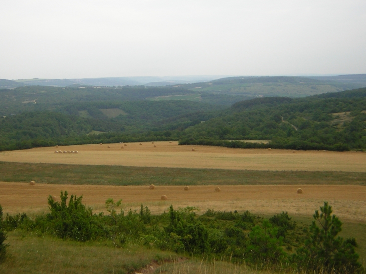 Vue depuis la montagne des trois croix - Dezize-lès-Maranges