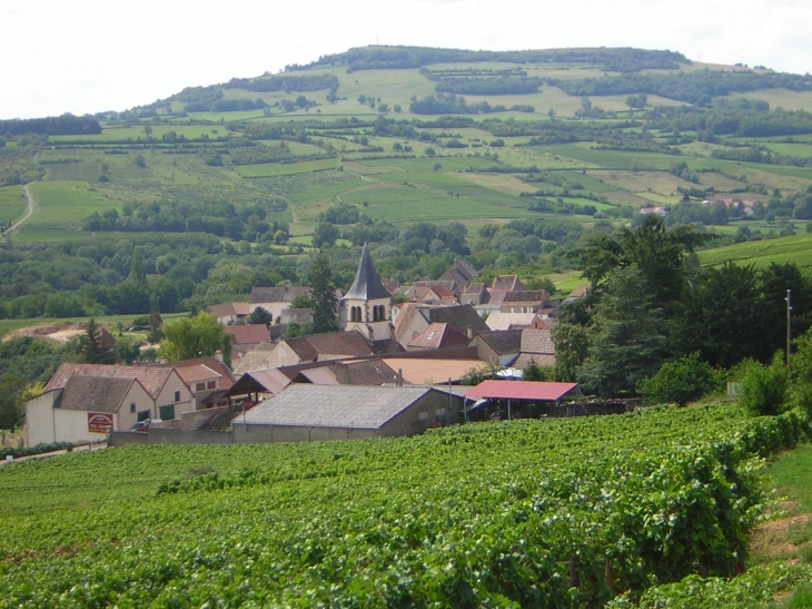 Vue depuis le coteau - Dezize-lès-Maranges