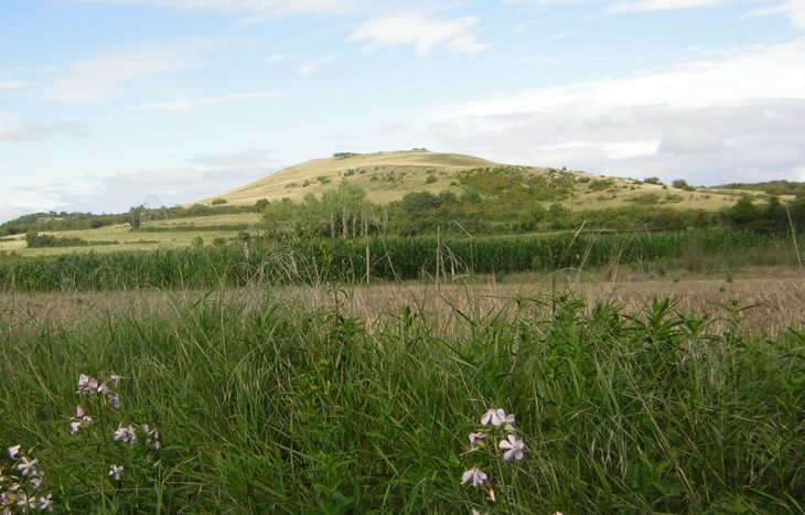 Julard - Dezize-lès-Maranges