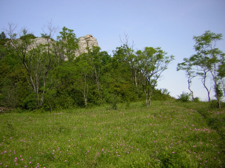 Les roches Bonards - Dezize-lès-Maranges