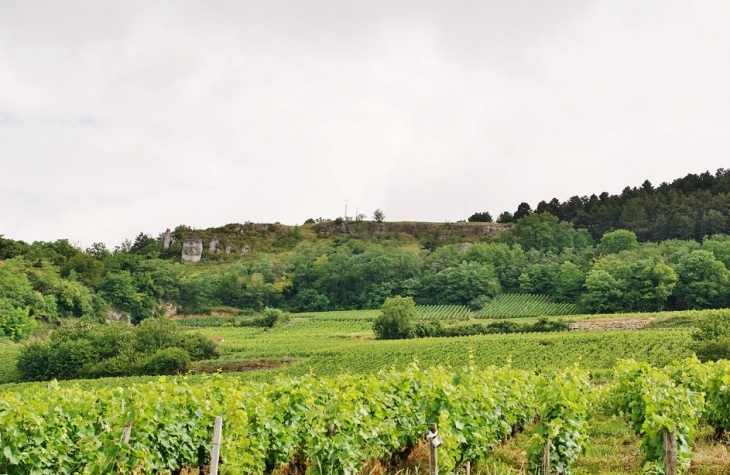 Les Vignobles - Dezize-lès-Maranges