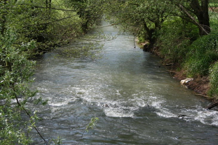 Rivière - Frangy-en-Bresse