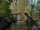 Photo suivante de Joncy En bordure du camping, pont naturel sur la Guye ( J.M. Mullot )