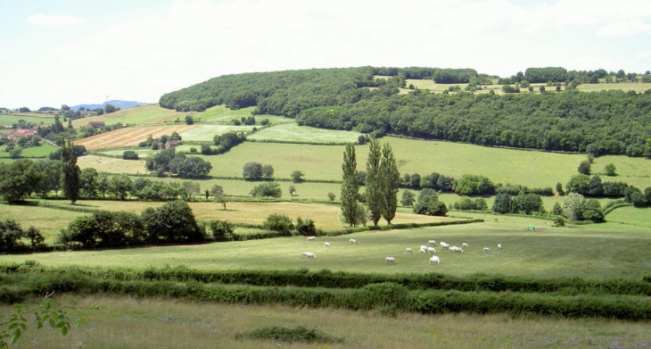 Route de La Vineuse