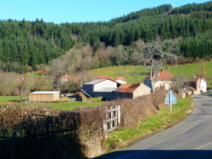 Vicelaire en Bas - Montmelard