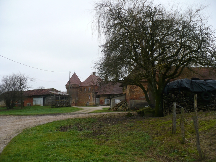 Le château de Durtal  - Montpont-en-Bresse