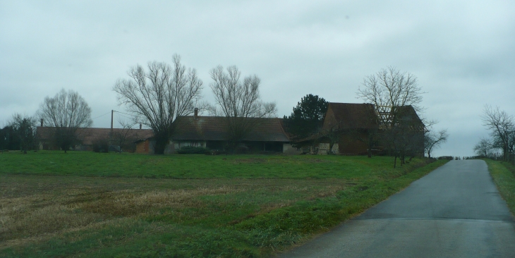 Ferme Bressanne à Montpont en Bresse - Montpont-en-Bresse