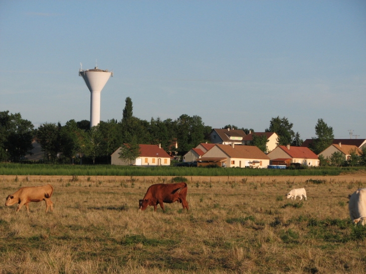 LA CAMPAGNE - Navilly