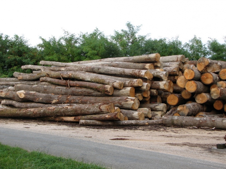 BILLES DE BOIS A NAVILLY.