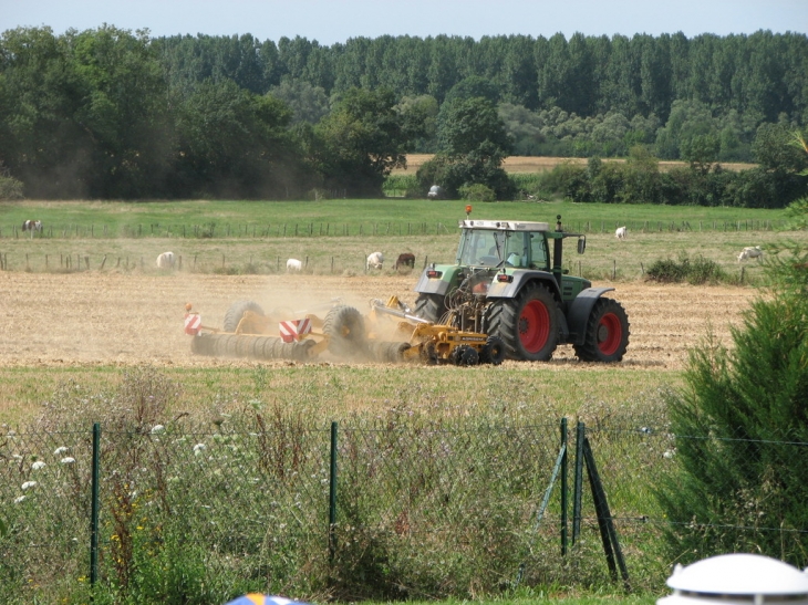 TRAVAUX DES CHAMPS A NAVILLY.