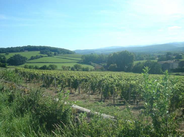 Peronne et alentours - Péronne