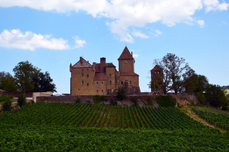 Château - Pierreclos