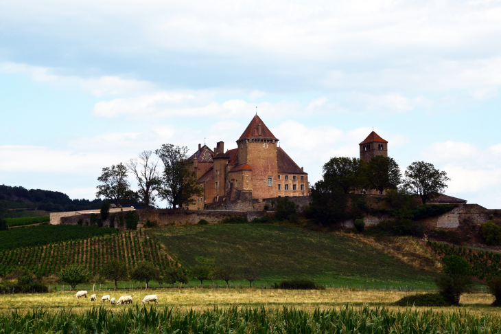 Château - Pierreclos