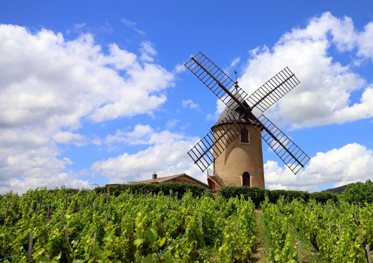 Le Moulin à Vent - Romanèche-Thorins