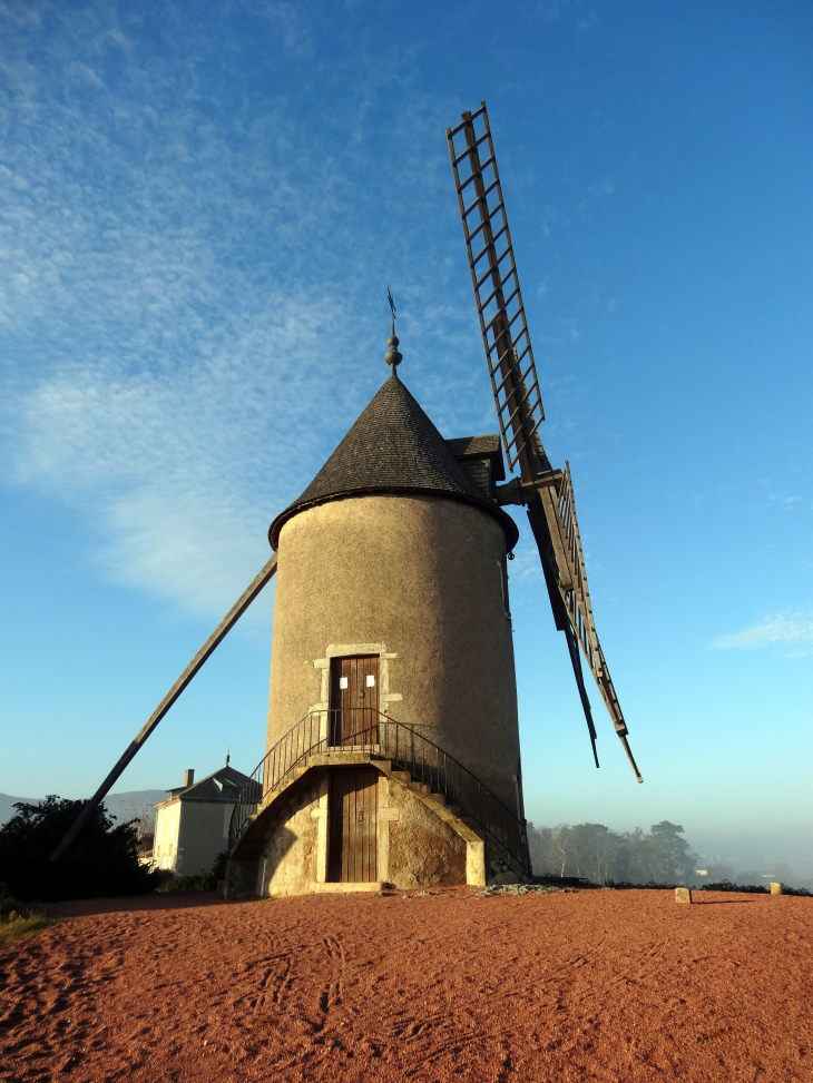 Le Moulin à Vent - Romanèche-Thorins