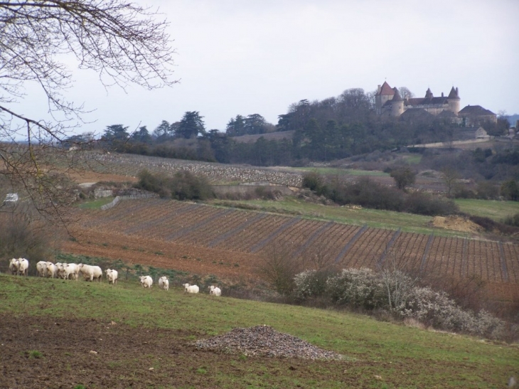 Le château - Rully