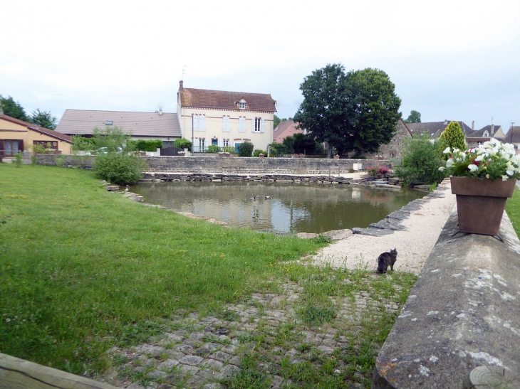 La mare dans le village - Saint-Ambreuil