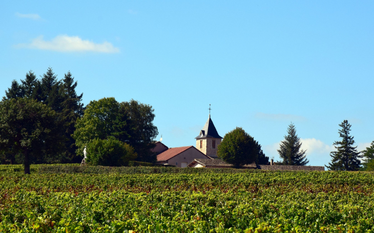 Village - Saint-Amour-Bellevue