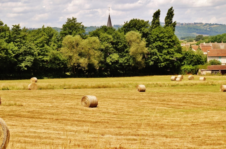 La Campagne - Saint-Bérain-sur-Dheune