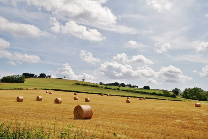 La Campagne - Saint-Léger-sur-Dheune