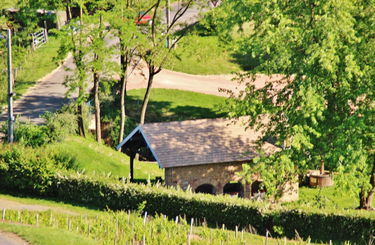 Le Lavoir - Saint-Vérand