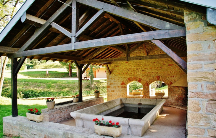 Le Lavoir - Saint-Vérand