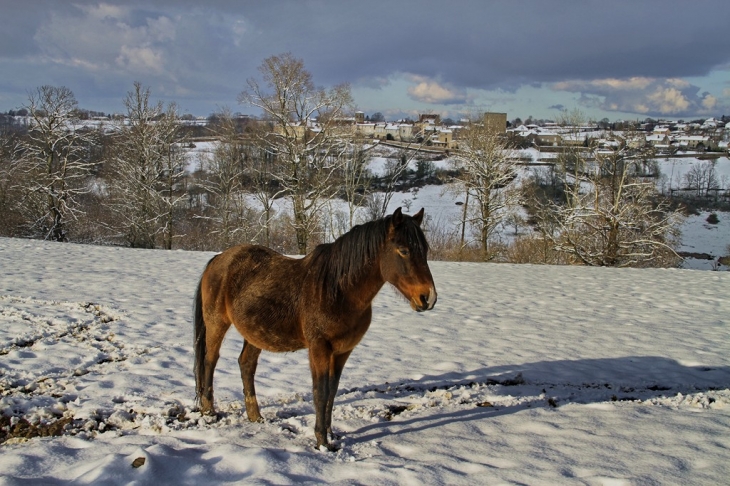  - Semur-en-Brionnais