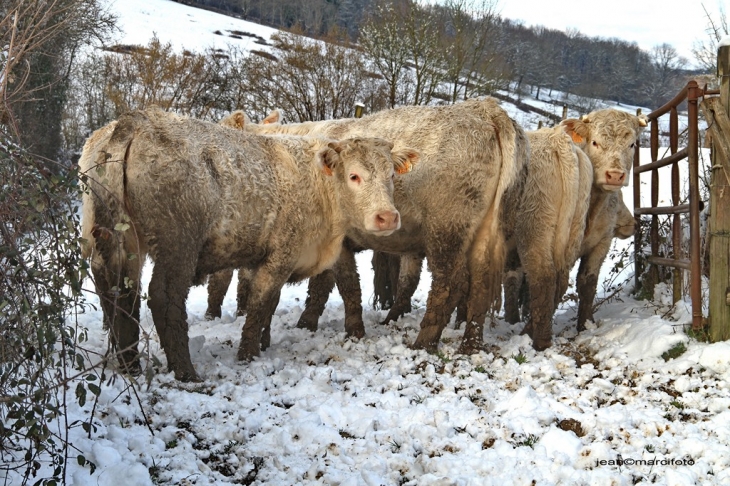  - Semur-en-Brionnais