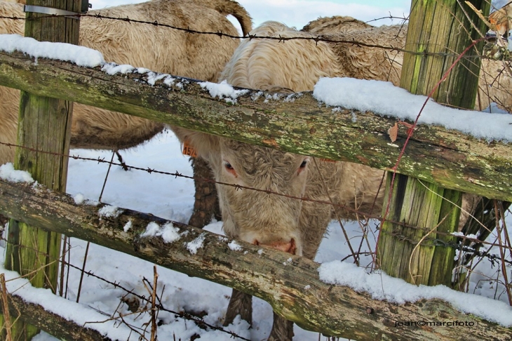  - Semur-en-Brionnais