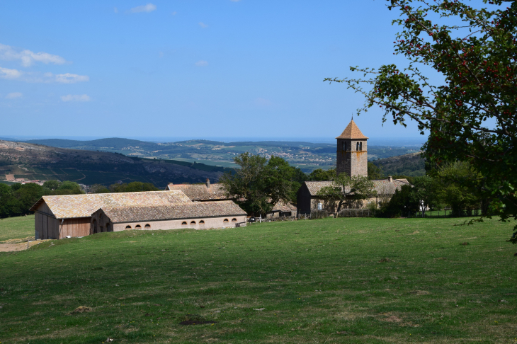 La Grange du Bois - Solutré-Pouilly